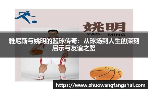 雅尼斯与姚明的篮球传奇：从球场到人生的深刻启示与友谊之路