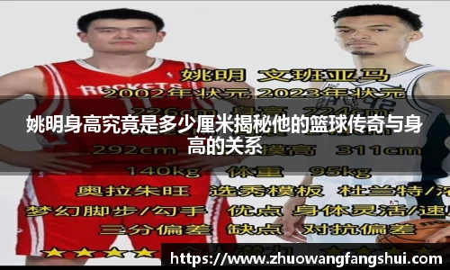 姚明身高究竟是多少厘米揭秘他的篮球传奇与身高的关系