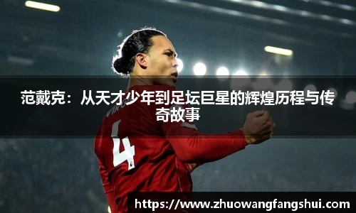 范戴克：从天才少年到足坛巨星的辉煌历程与传奇故事