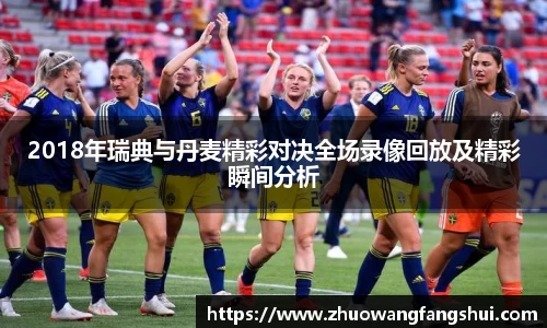 2018年瑞典与丹麦精彩对决全场录像回放及精彩瞬间分析