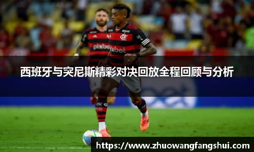 西班牙与突尼斯精彩对决回放全程回顾与分析