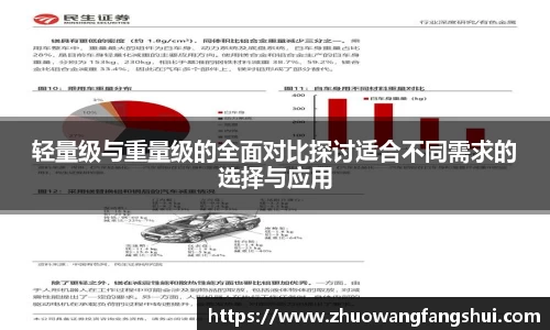轻量级与重量级的全面对比探讨适合不同需求的选择与应用