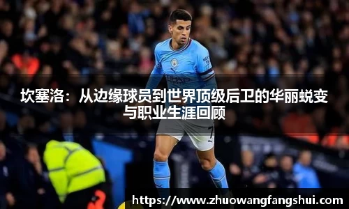 坎塞洛：从边缘球员到世界顶级后卫的华丽蜕变与职业生涯回顾