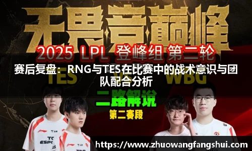 赛后复盘：RNG与TES在比赛中的战术意识与团队配合分析