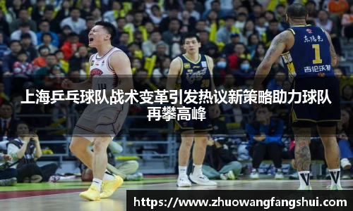上海乒乓球队战术变革引发热议新策略助力球队再攀高峰